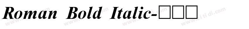 Roman Bold Italic字体转换